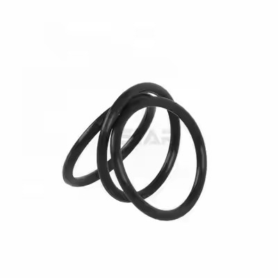 1095885 Polished Tribo Encore Gen II Powder Coating Pump O Rings Custom OEM Support